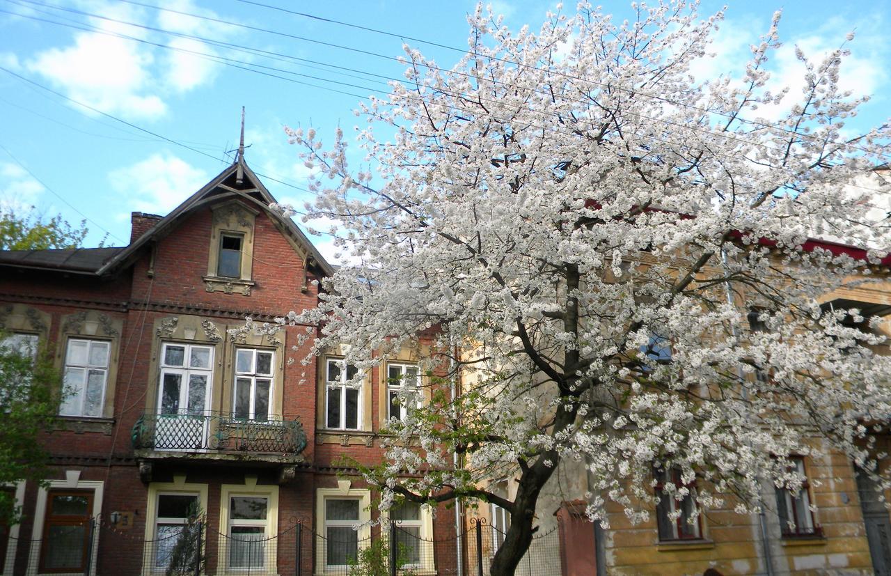 Studios At Anchevskih 3 Λβιβ Εξωτερικό φωτογραφία